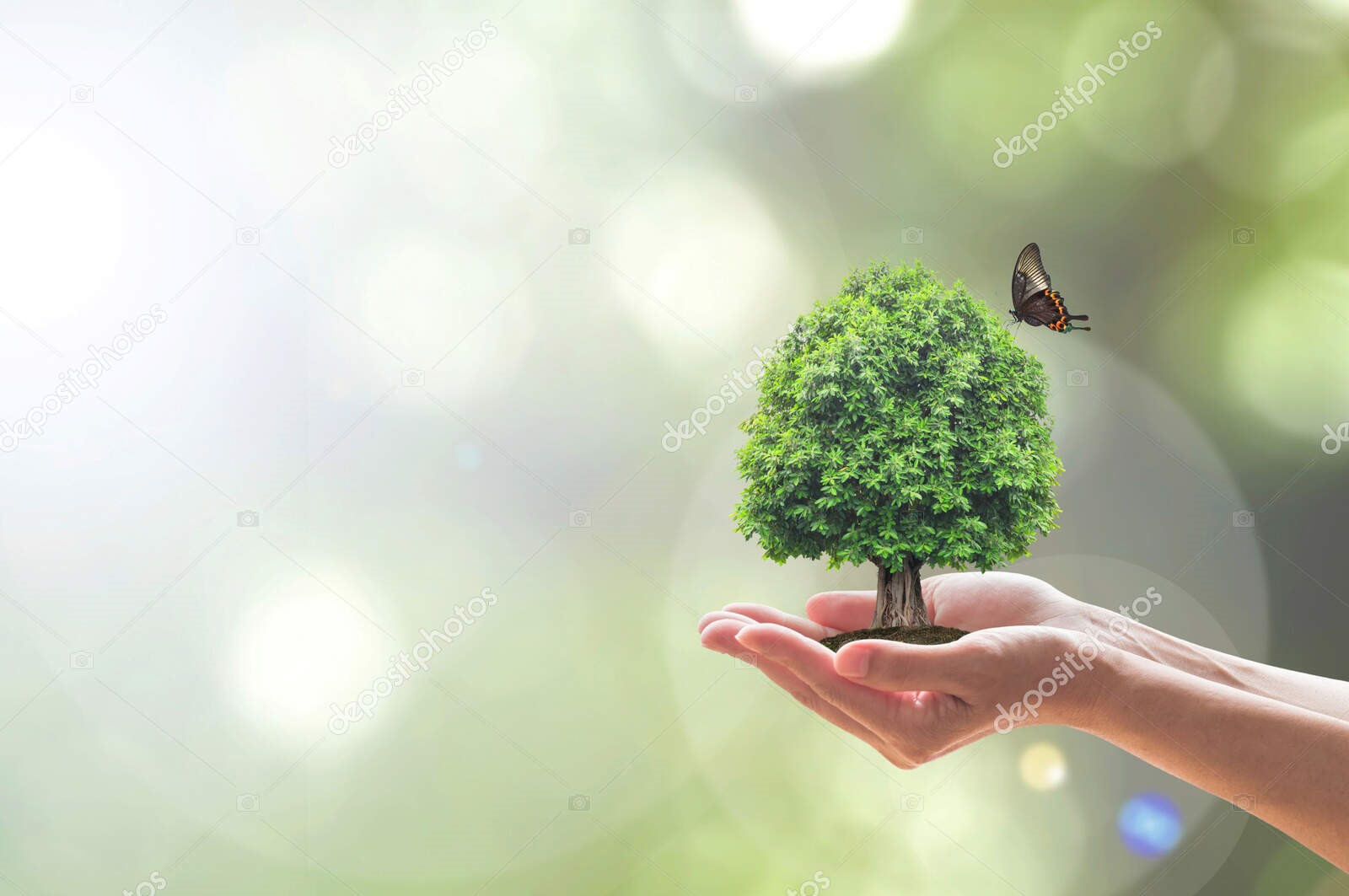 depositphotos 381171228 stock photo environment ecosystem preservation concept tree