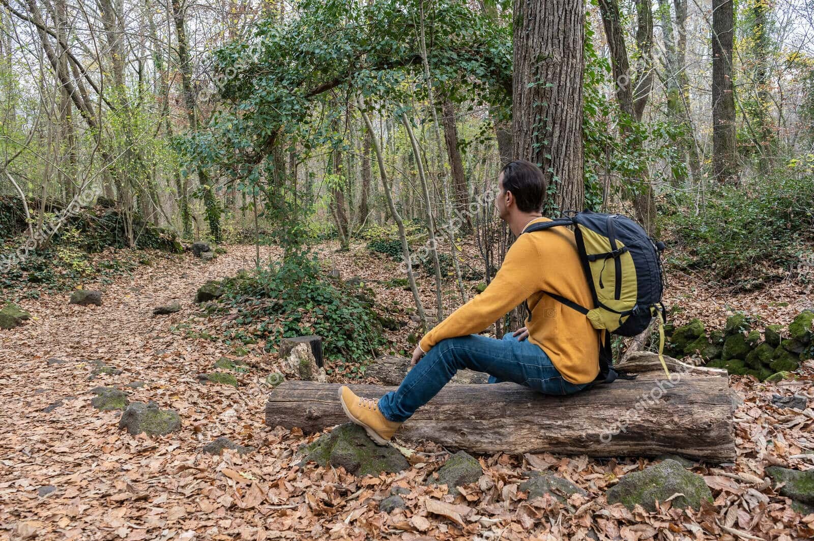 man sitting with backpack on woods looking horizon in forest.stylish hiker outdoor lifestyle.travel wanderlust concept.copy space .
