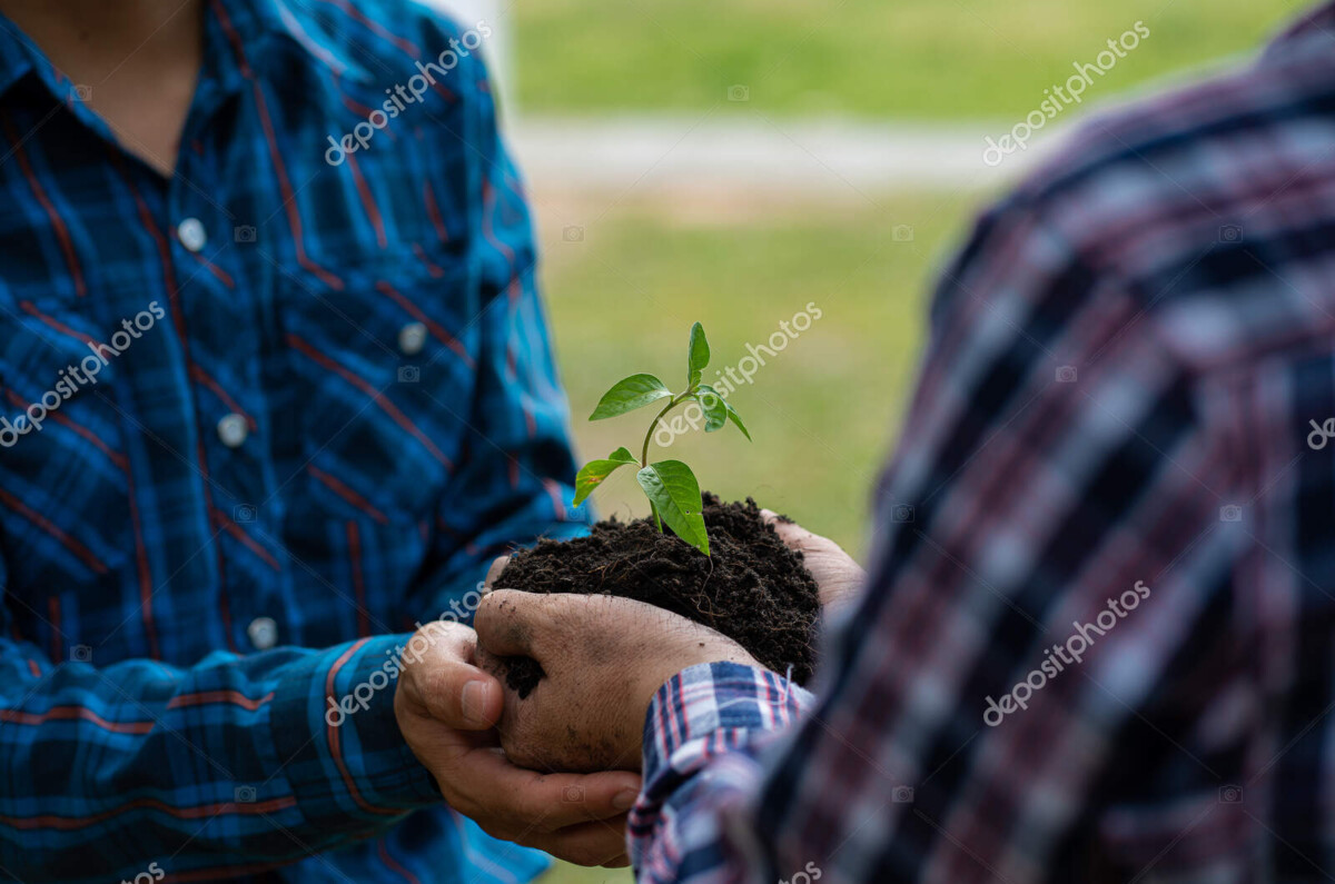 depositphotos 589571312 stock photo ecological concept nature background detail