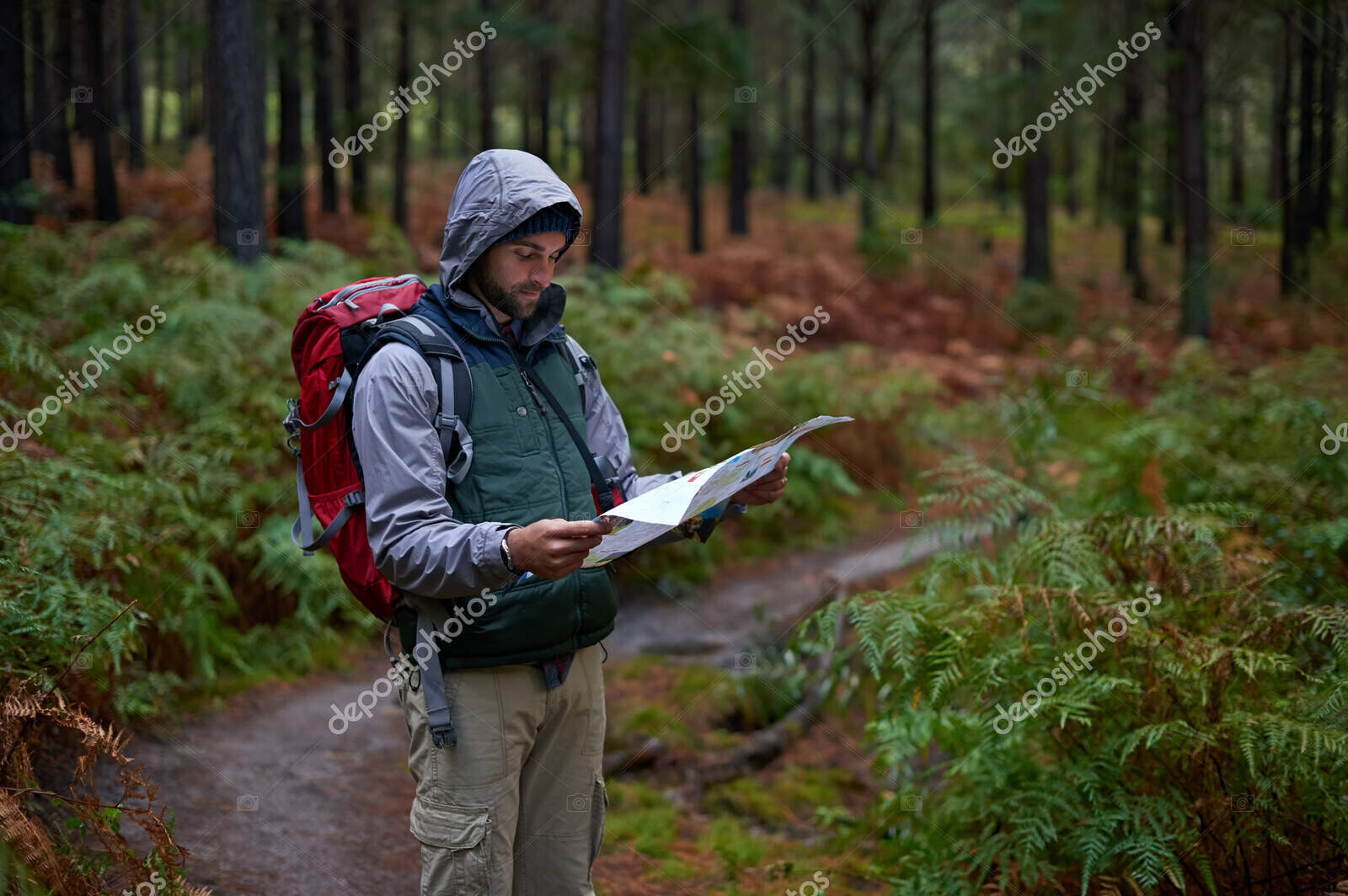 depositphotos 742386024 stock photo hiking forest man map camping